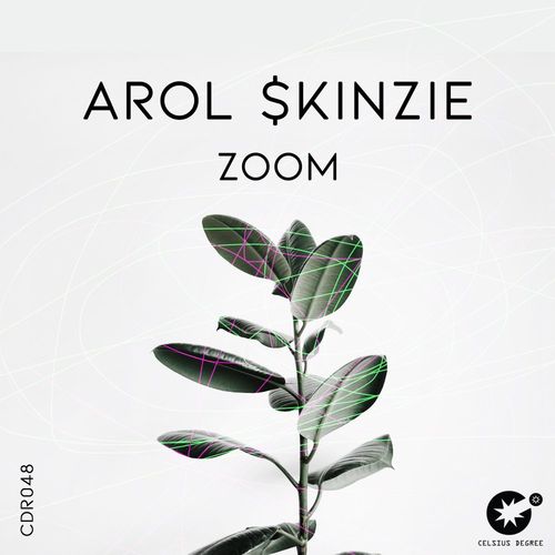 Arol $kinzie - Zoom / Celsius Degree Records