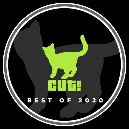 VA - Best of 2020 / Cut Rec