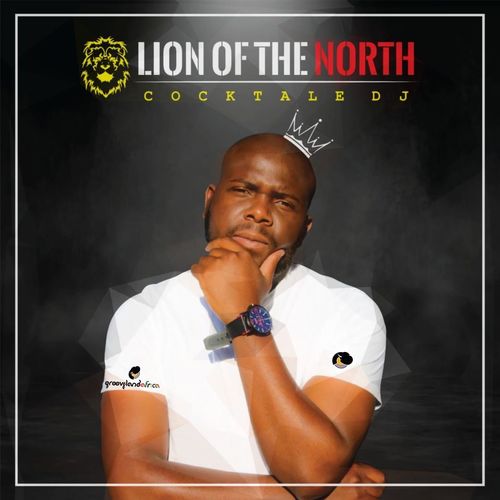 Cocktale DJ - Lion Of The North / Grooveland Africa
