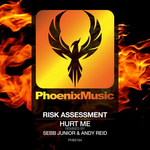 Risk Assessment - Hurt Me (Remixes) / Phoenix Music