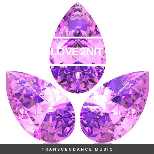Melodymann - Love 2NIT / Transcendance Music
