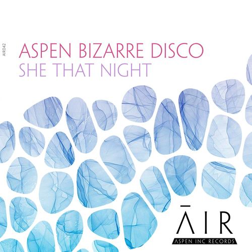 aspen bizarre disco - She That Night / Aspen Inc Records