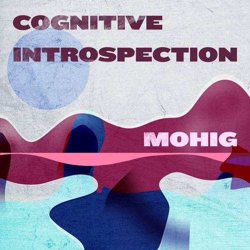 Mohig - Cognitive Introspection / Afroschnitzel Recordings