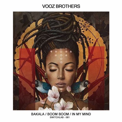 Vooz Brothers - Bakala / Switchlab