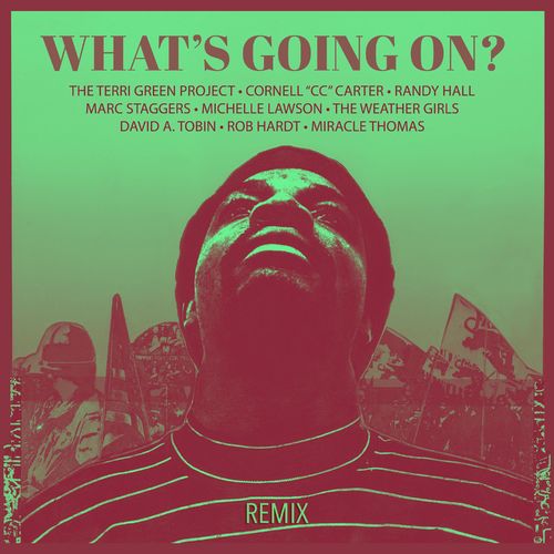 The Terri Green Project, Cornell “CC” Carter, Randy Hall - Whats Going On (Frank Blythe Remix) / Sedsoul