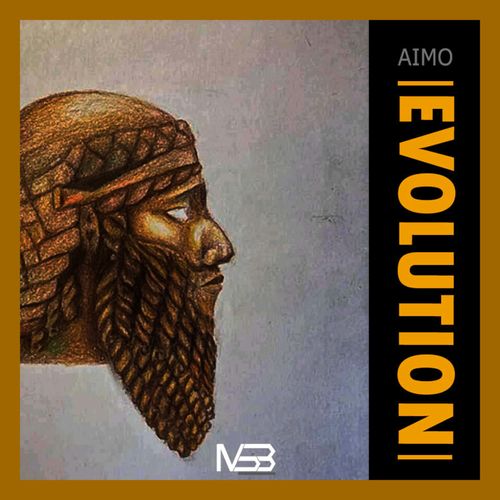 Aimo - Evolution / My Sound Box