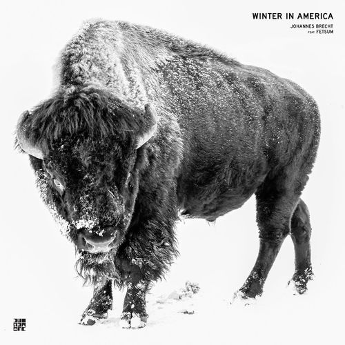 Johannes Brecht - Winter in America / Diynamic Music
