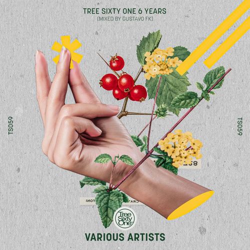 VA - Tree Sixty One 6 Years ´ Mixed by Gustavo Fk / Tree Sixty One