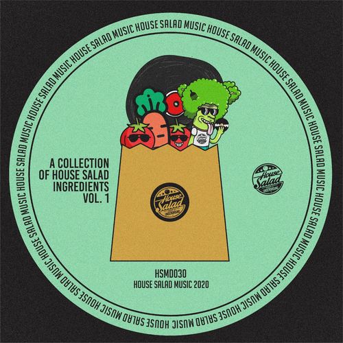 VA - A Collection of House Salad Ingredients, Vol. 1 / House Salad Music