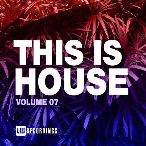 VA - This Is House, Vol. 07 / LW Recordings