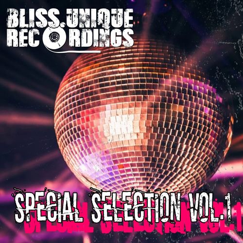 VA - Special Selection Vol. 1 / Bliss Unique Recordings