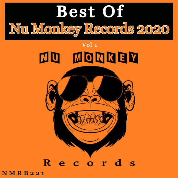 VA - Best Of Nu Monkey Records 2020 Vol 1 / Nu Monkey Records