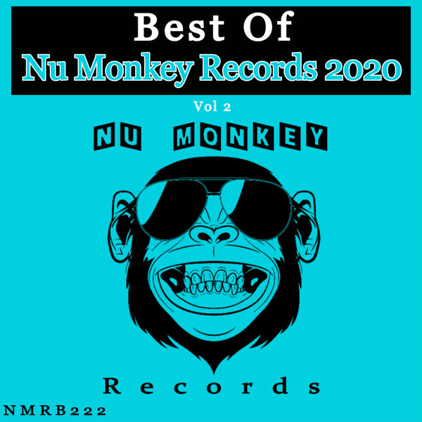 VA - Best Of Nu Monkey Records 2020 Vol 2 / Nu Monkey Records