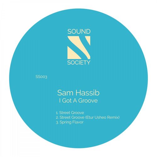 Sam Hassib - I Got a Groove / Sound Society