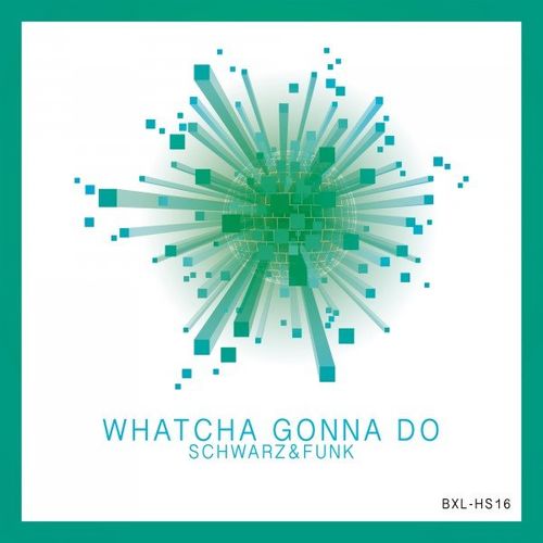 Schwarz & Funk - Whatcha Gonna Do / Boxberglounge