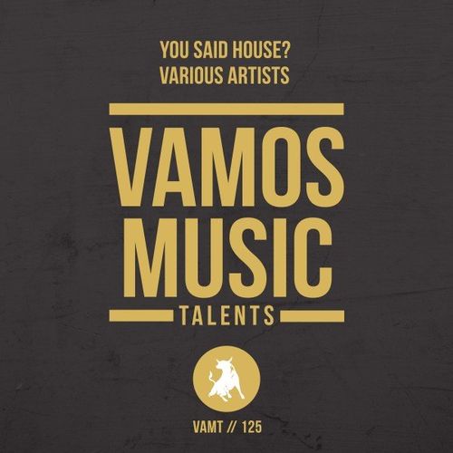 VA - You Said House? / Vamos Music Talents