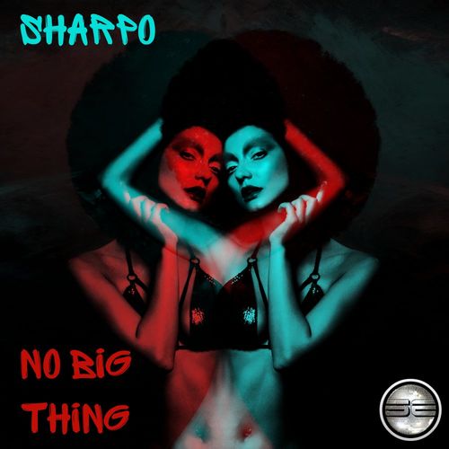 SHARPO - No Big Thing / Soulful Evolution