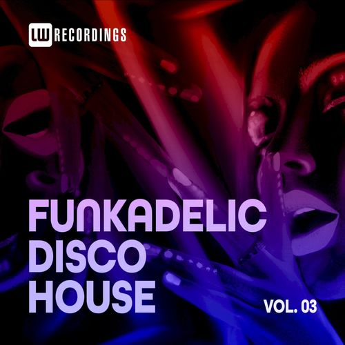 VA - Funkadelic Disco House, 03 / LW Recordings