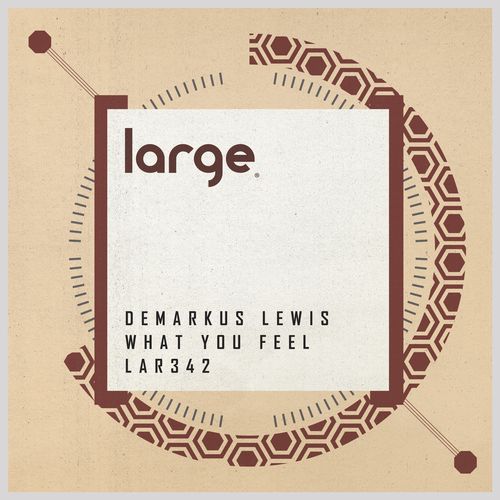 Demarkus Lewis - What You Feel / Large Music