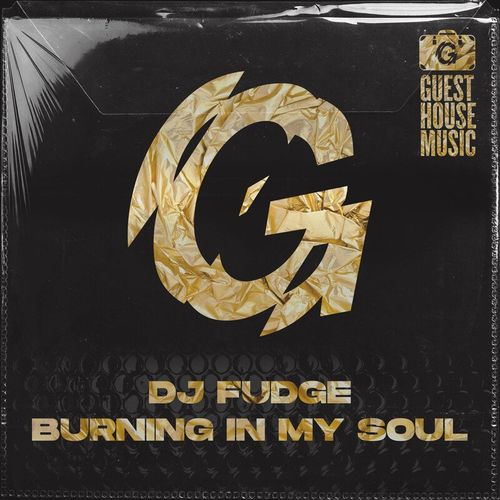 DJ Fudge - Burning in My Soul / Guesthouse Music