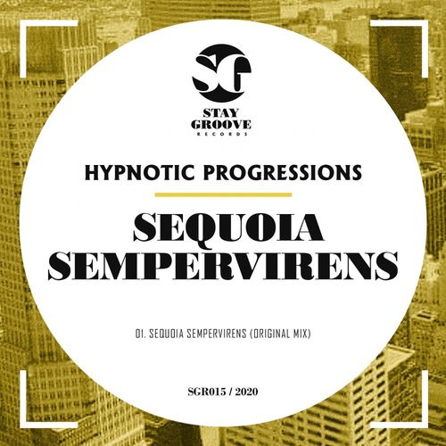 Hypnotic Progressions - Sequoia Sempervirens / Stay Groove Records