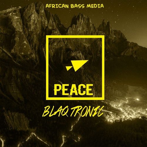 Blaq Tronic - Peace / African Bass Media