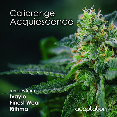 Caliorange - Acquiescence / Adaptation Music