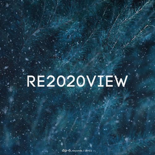 Dp-6 - Re2020view / DP-6 Records