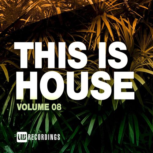 VA - This Is House, Vol. 08 / LW Recordings