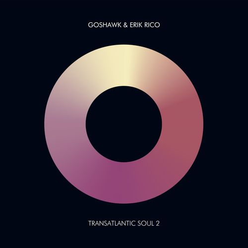 Goshawk & Erik Rico - Transatlantic Soul 2 / Atjazz Record Company