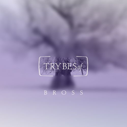 Bross (RO) - Trubadour De Puente EP / TRYBESof