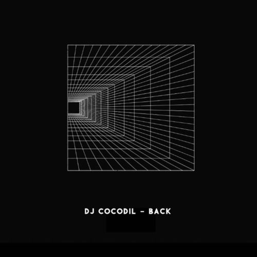 Dj Cocodil - Back / Kolour Recordings