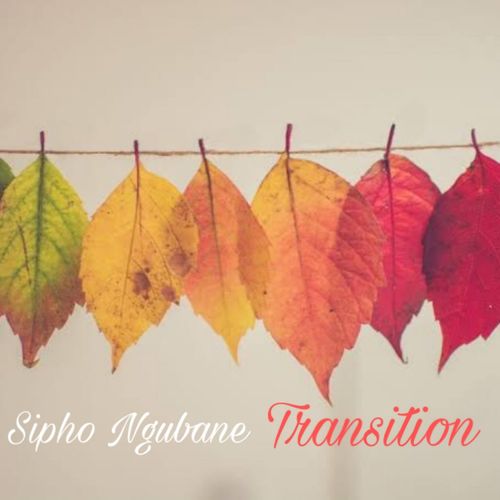 Sipho Ngubane - Transition / Soulful Sentiments Records