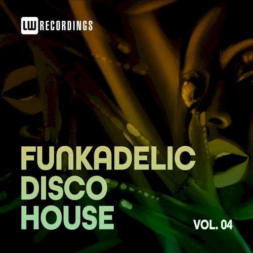 VA - Funkadelic Disco House, 04 / LW Recordings