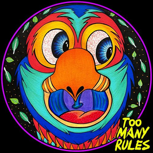 Richard Ulh - Super Fly / Too Many Rules