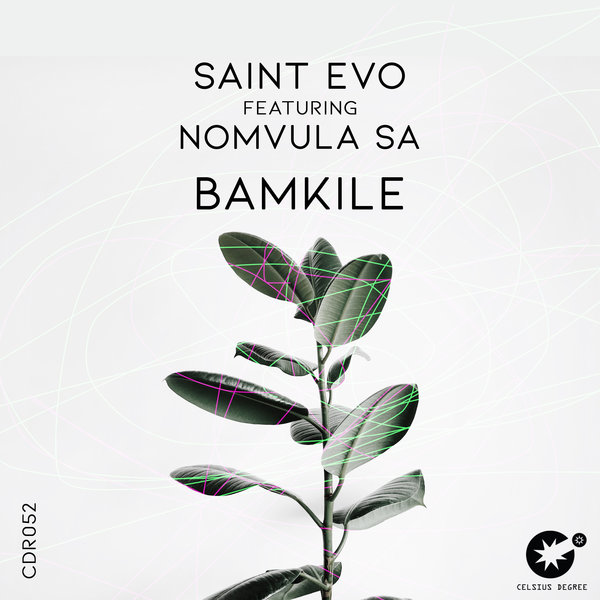 Saint Evo feat. Nomvula SA - Bamkile / Celsius Degree Records