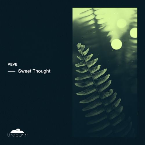 Peve - Sweet Thought / The Purr