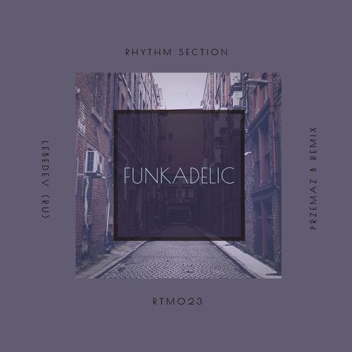 Lebedev (RU) - Funkadelic / Rhythm Section