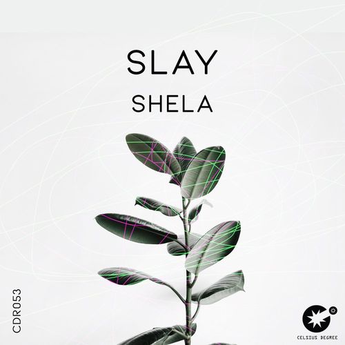 Slay - Shela / Celsius Degree Records