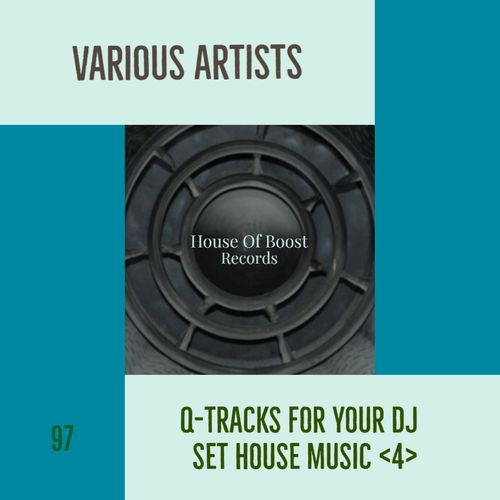 VA - Q-TRACKS FOR YOUR DJ SET HOUSE MUSIC 4 / House Of Boost Records