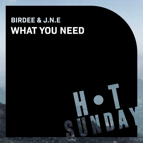 Birdee & J.N.E - What You Need / Hot Sunday Records
