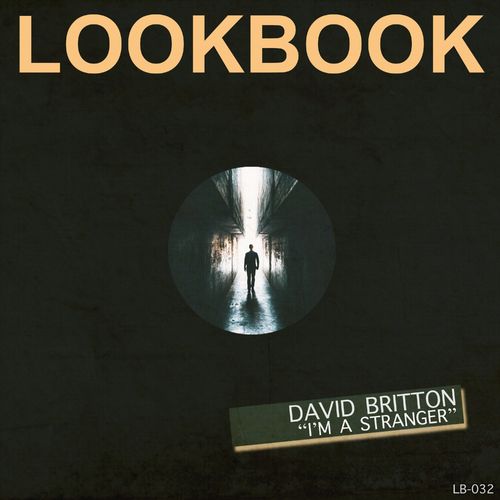 David Britton - I'm A Stranger / Lookbook Recordings