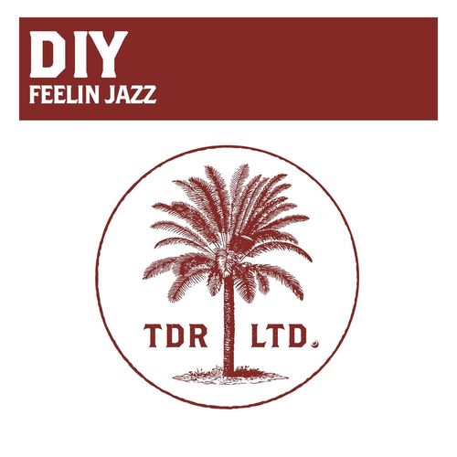 DiY - Feelin Jazz / TDR LTD