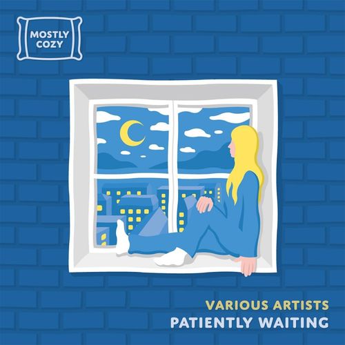 VA - Patiently Waiting / Mostly Cozy
