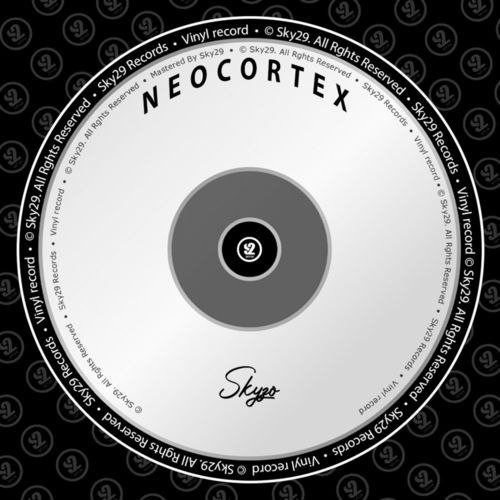 Skyzo - Neocortex / Sky29