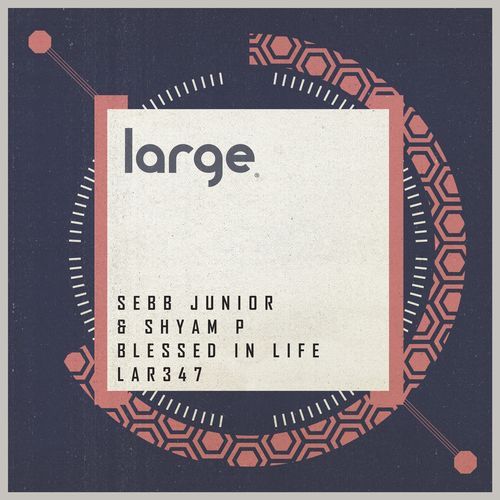 Sebb Junior & Shyam P - Blessed In Life / Large Music