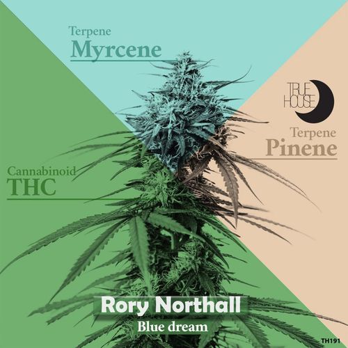 Rory Northall - Blue Dream / True House LA