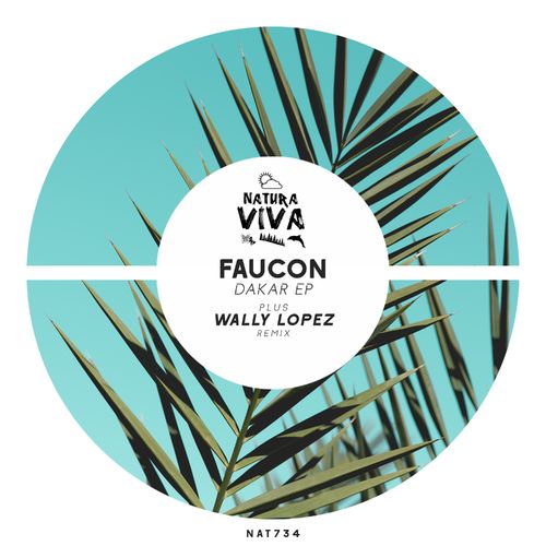 Faucon - Dakar / Natura Viva