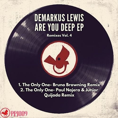 Demarkus Lewis - Are You Deep EP Remixes, Vol. 4 / Pigeon Project