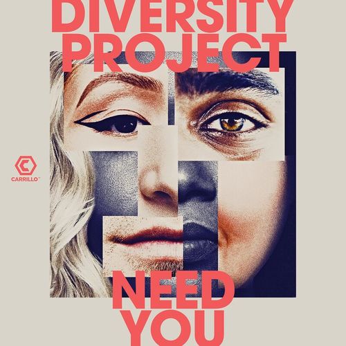 Diversity Project - Need You / Carrillo Music LLC